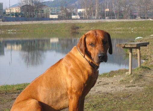 junior (23).jpg